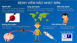 Chủ động phòng chống bệnh viêm não Nhật Bản